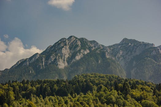 Explore the lush forests and rugged peaks of the Piatra Craiului Mountains in Romania.