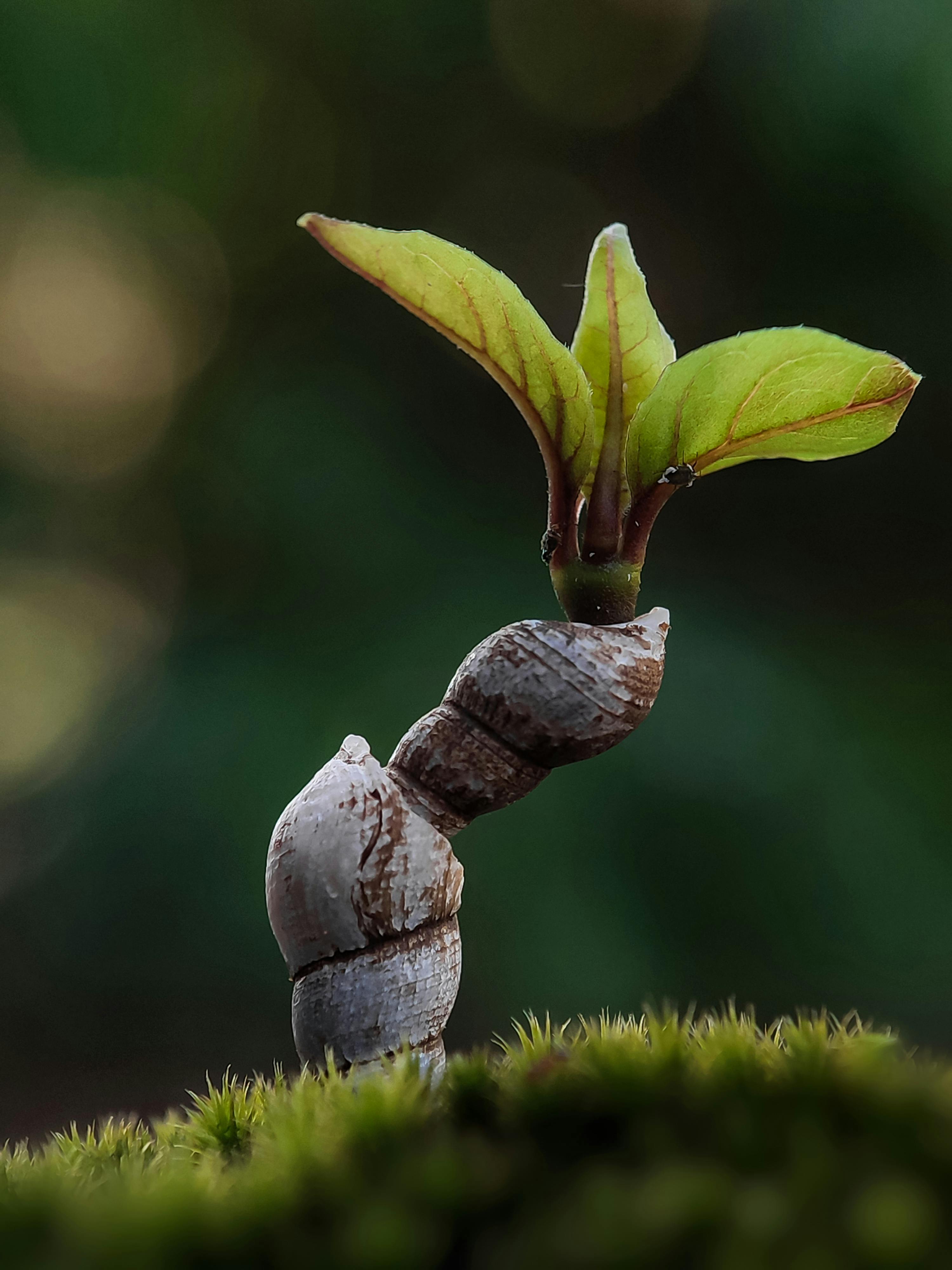 First+Month+Of+Spring Photos, Download The BEST Free First+Month+Of ...