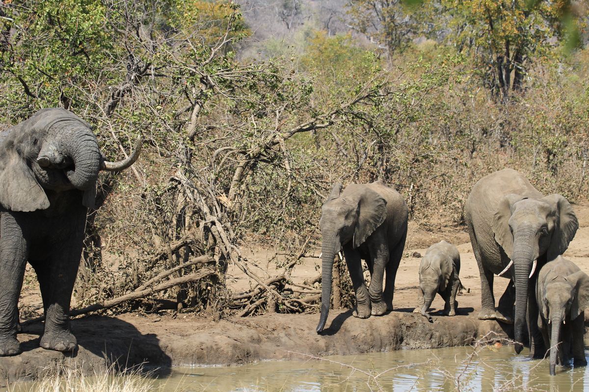 Tswalu Kalahari Reserve