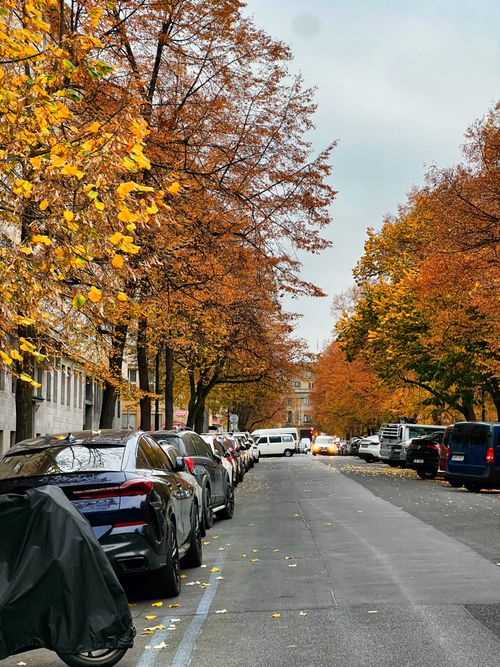 Free Serene autumn street lined with cars and colorful fall leaves, capturing urban tranquility. Stock Photo