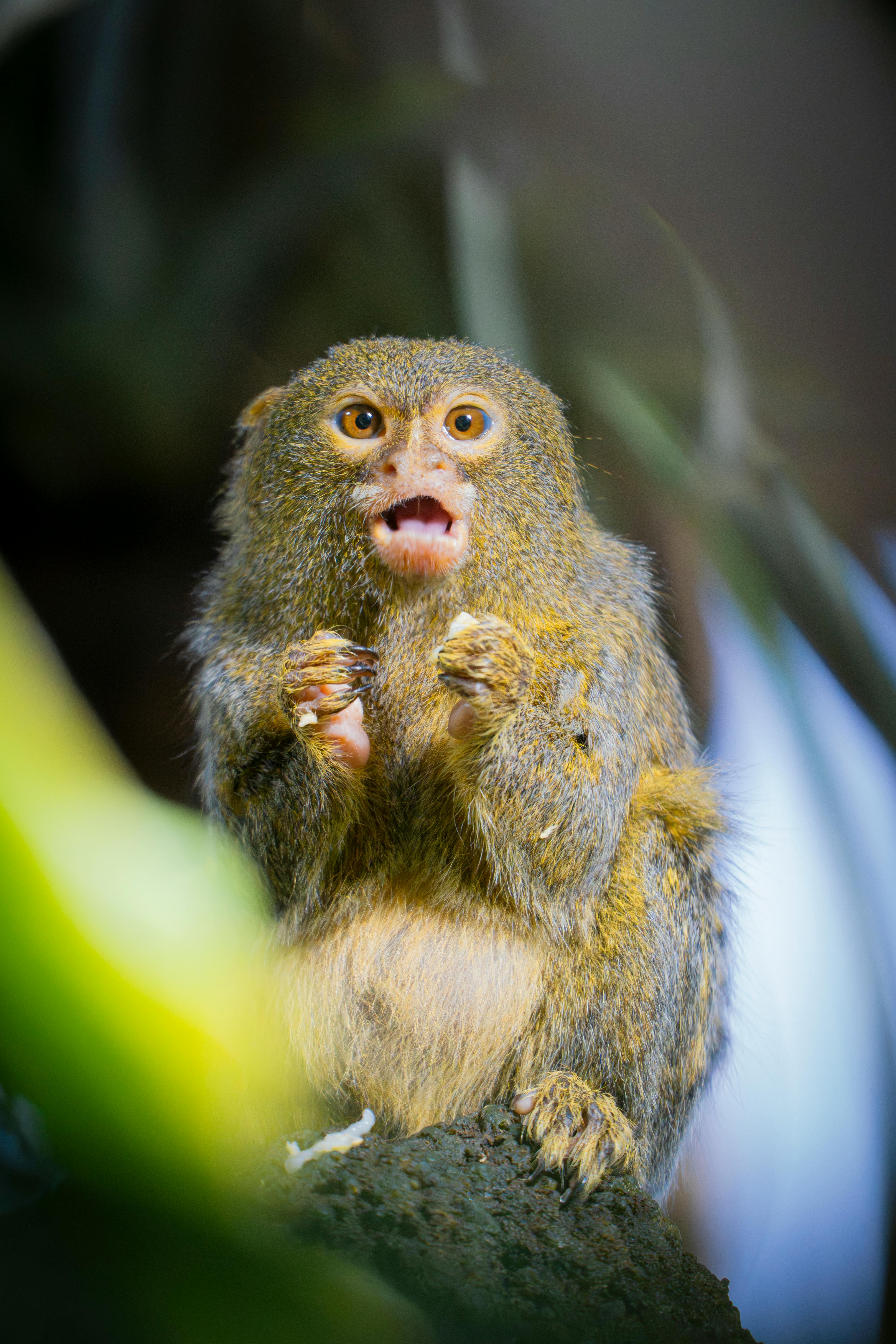 Amazon.com Amazon.com