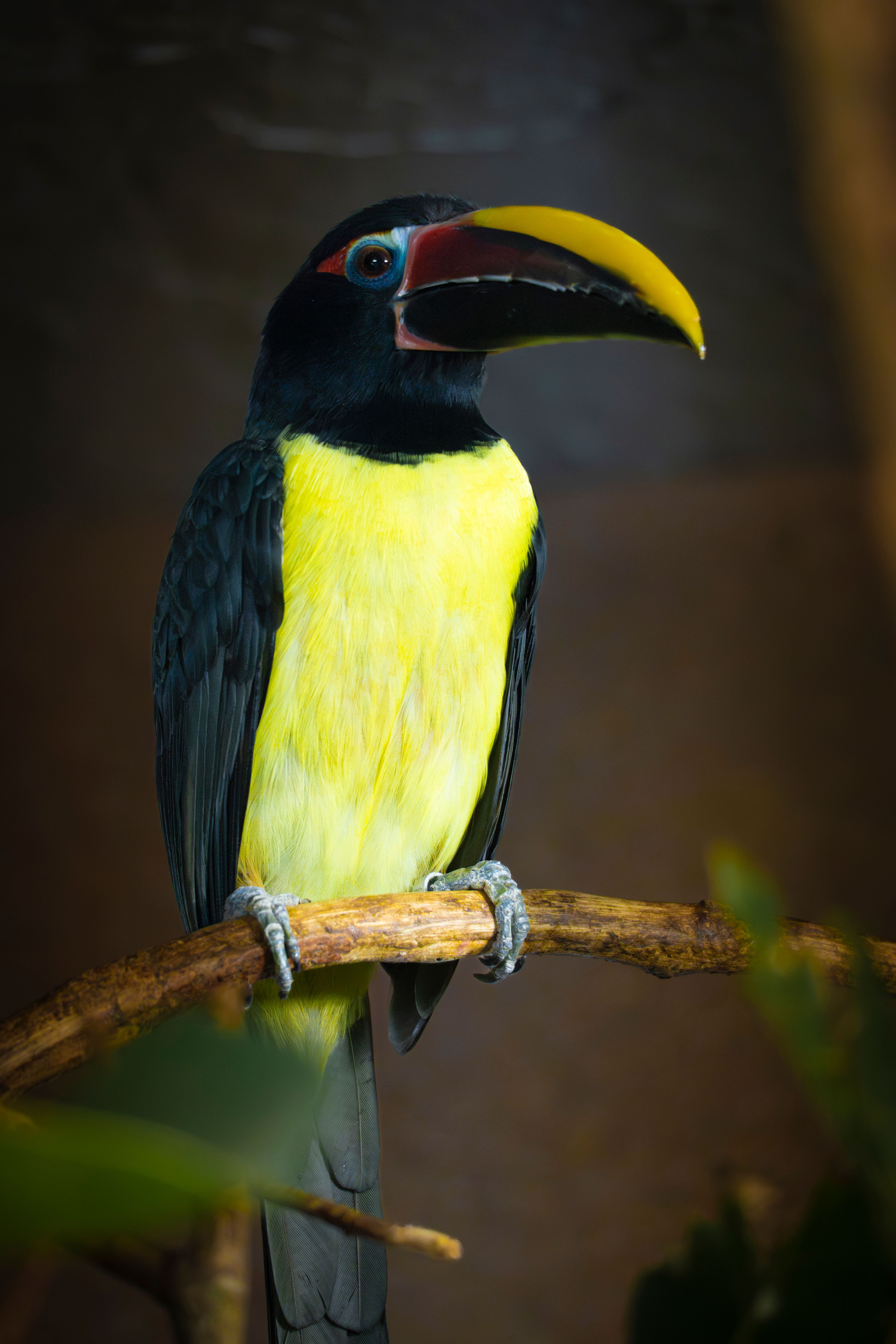 Amazon Photos, Download The BEST Free Amazon Stock Photos & HD Images