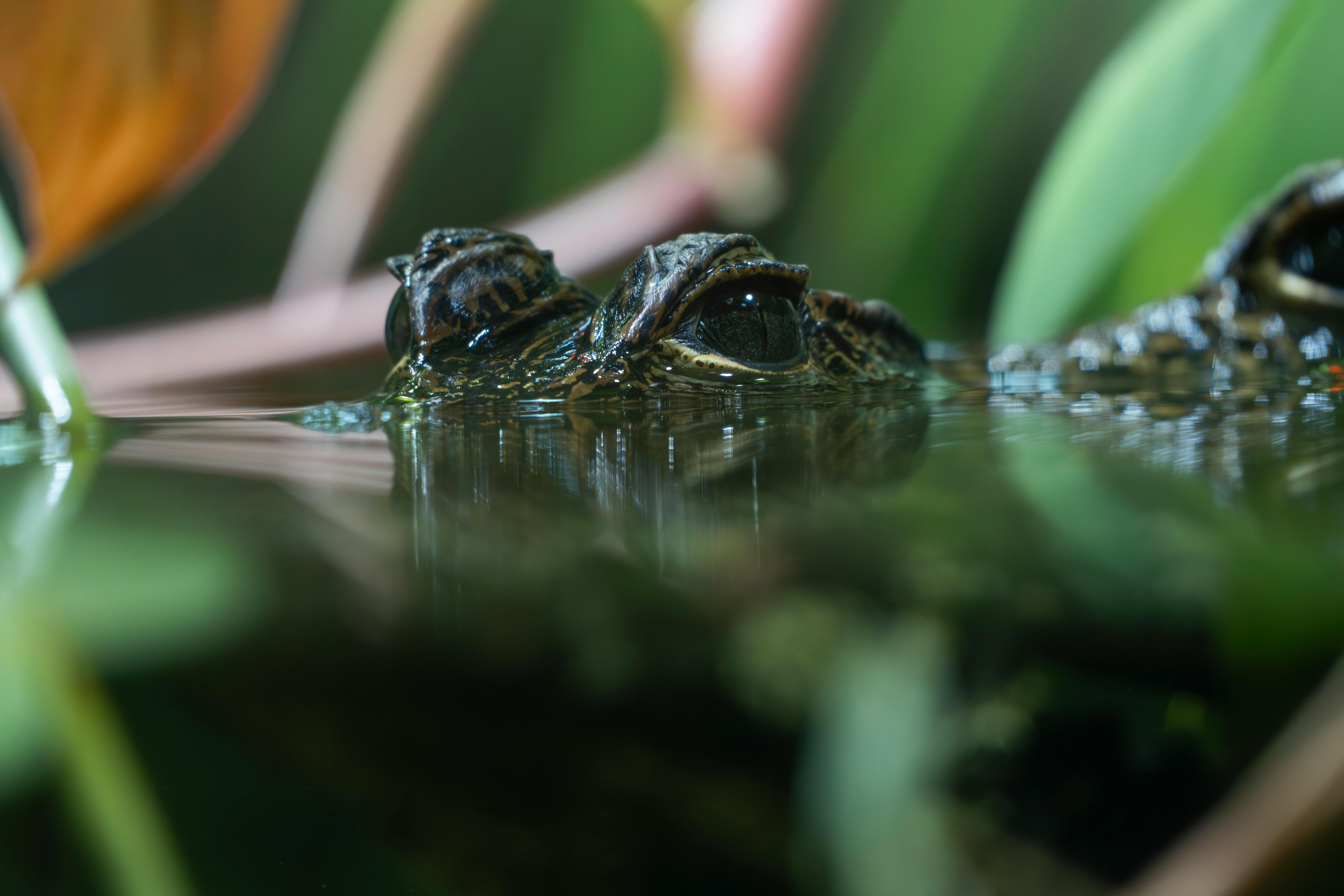 Economia de água no dia a dia