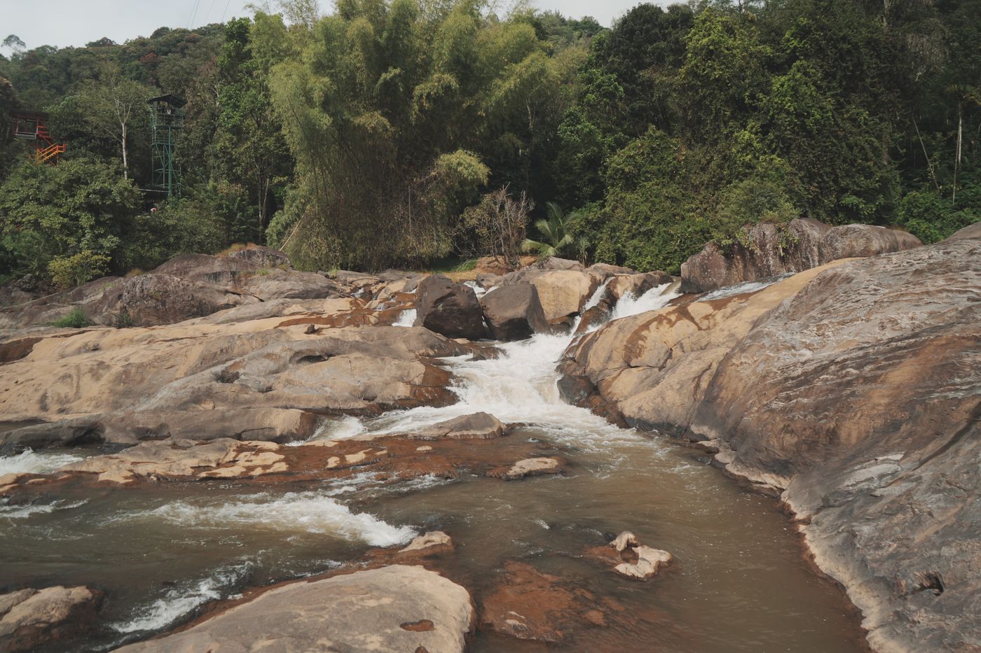 Clear stream rippling across a rock bed
