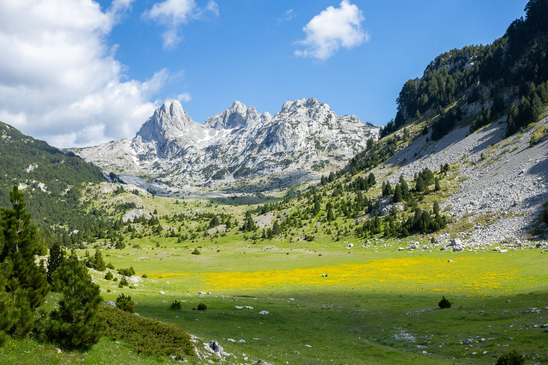 Why Albania Is Europe's Hidden Wildflower Paradise