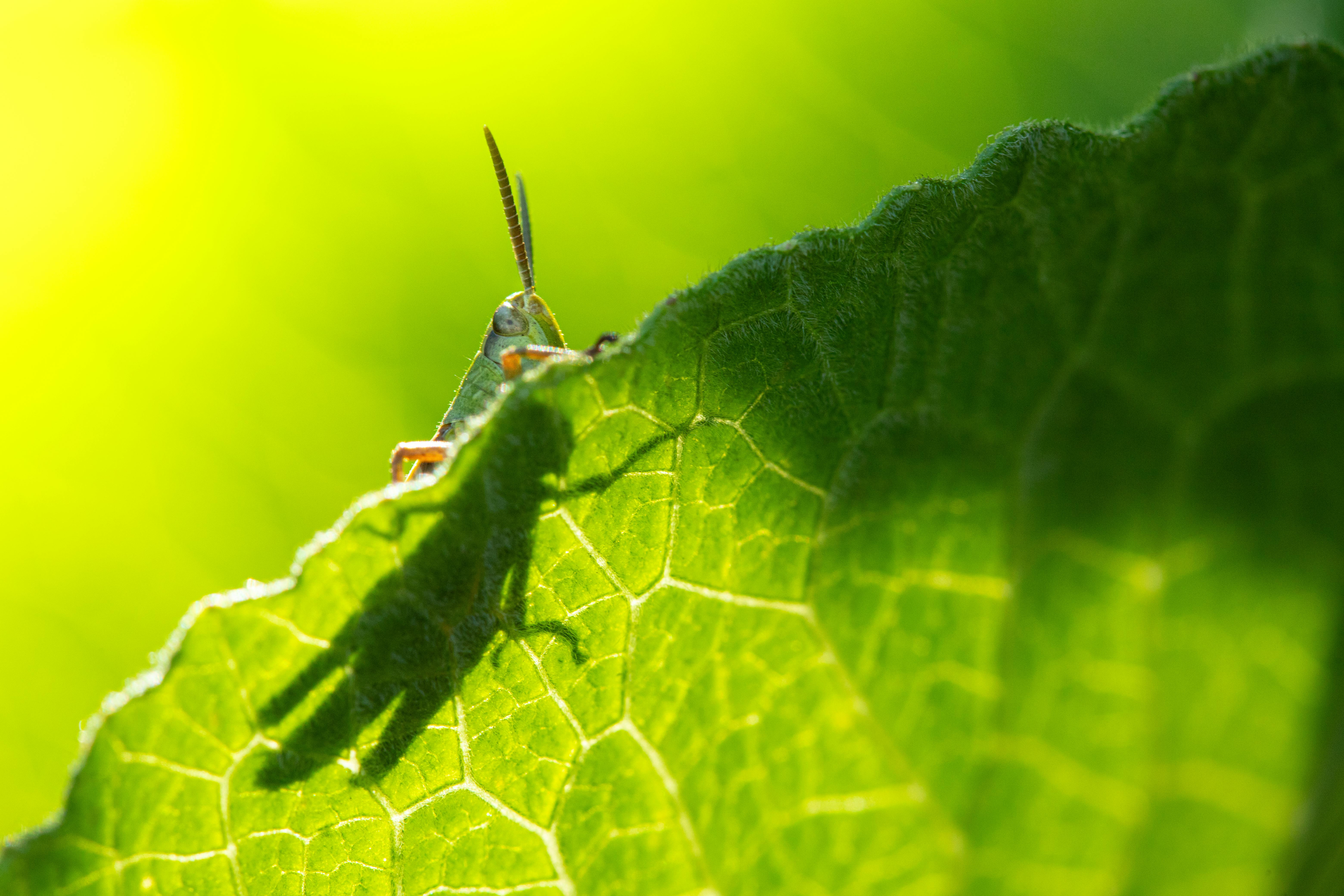 Uncover Secret Destinations for Adventure Travelers