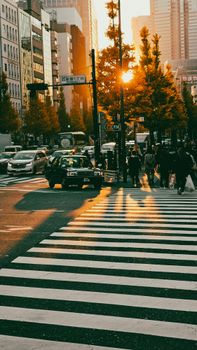 A bustling city crosswalk at sunset with people and vehicles, creating long shadows.