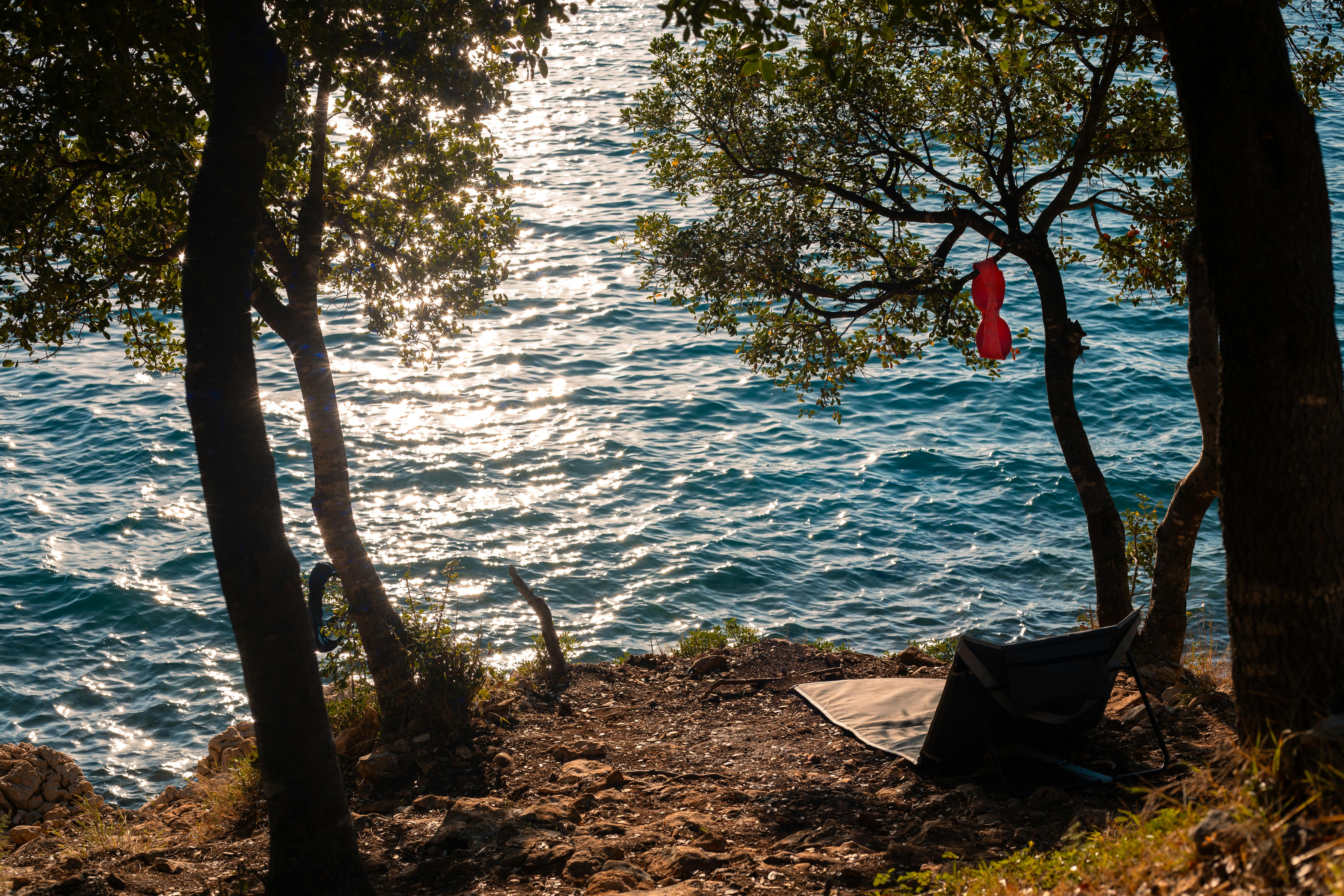 New Outdoor Fitness Court Opens at Bill Schupp Park — Photo by Amel Uzunovic on Pexels