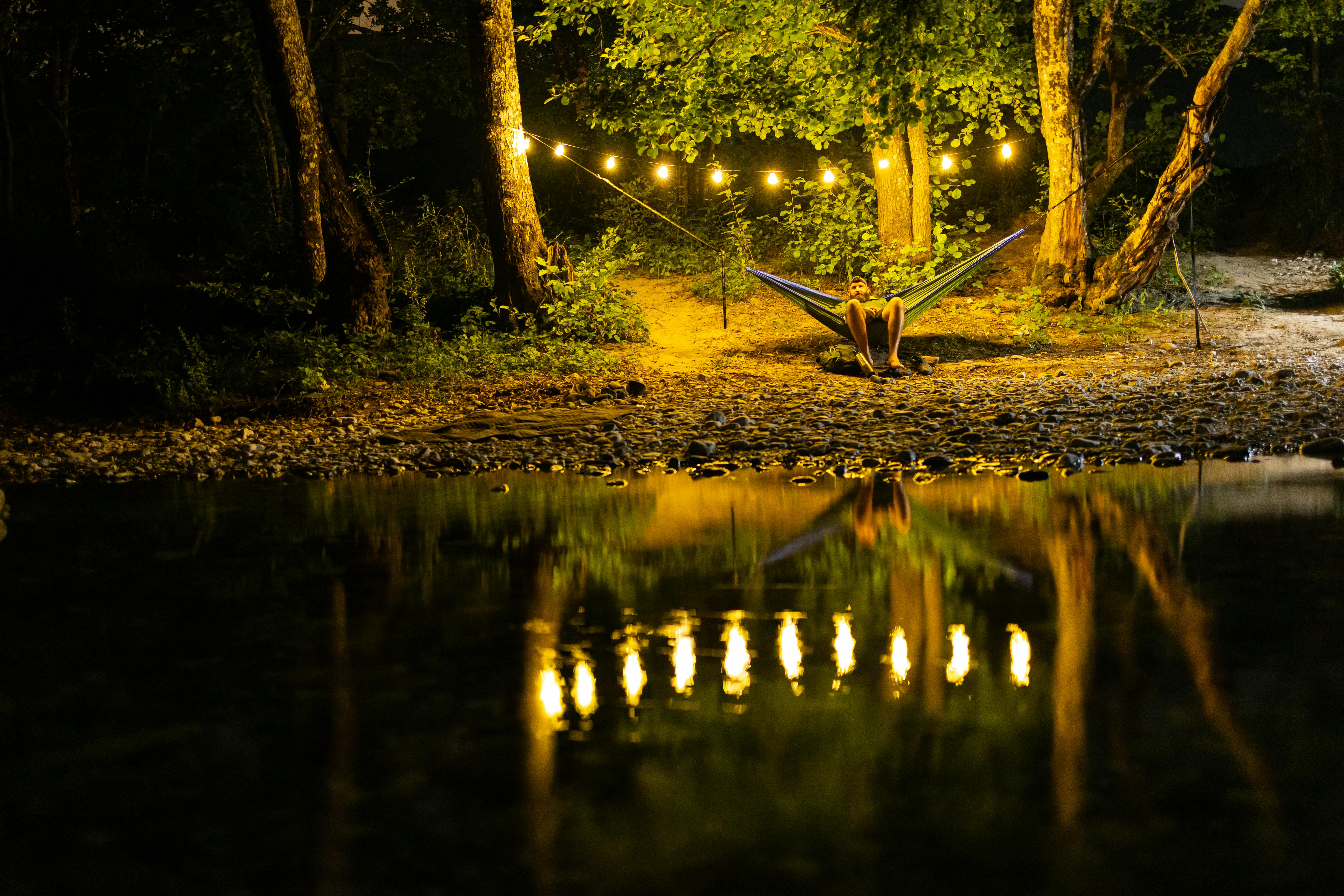 Surprising Ways Nature Can Enhance Mental Clarity