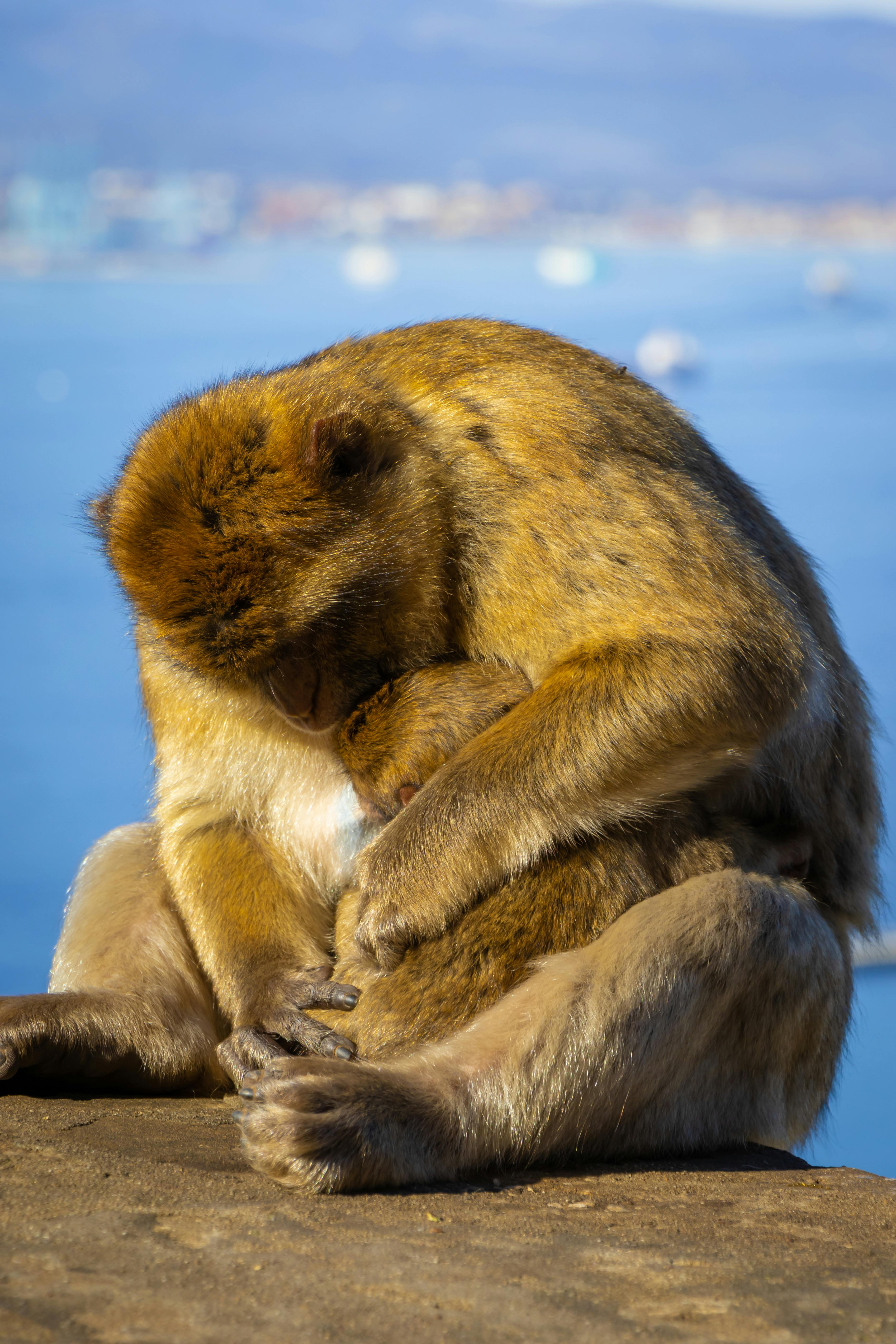 Your Ultimate Guide To Family Camping