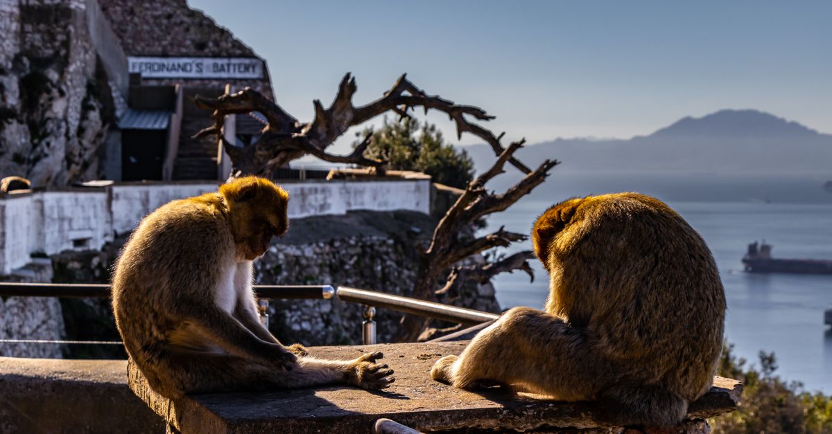 Vista del Peñón con una eSIM para Gibraltar activa en el móvil