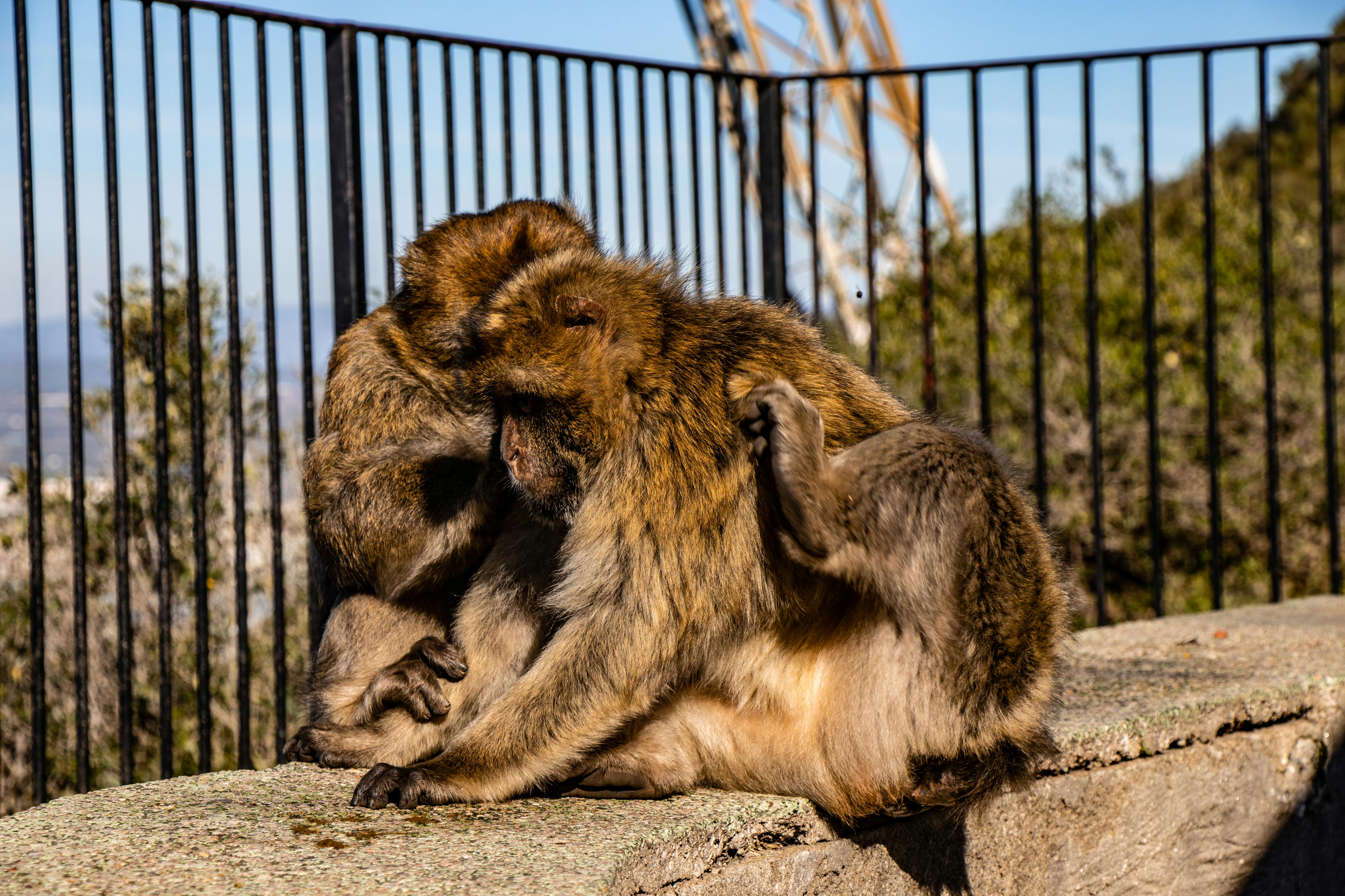 Mastering Food Pairing for Dinner Parties
