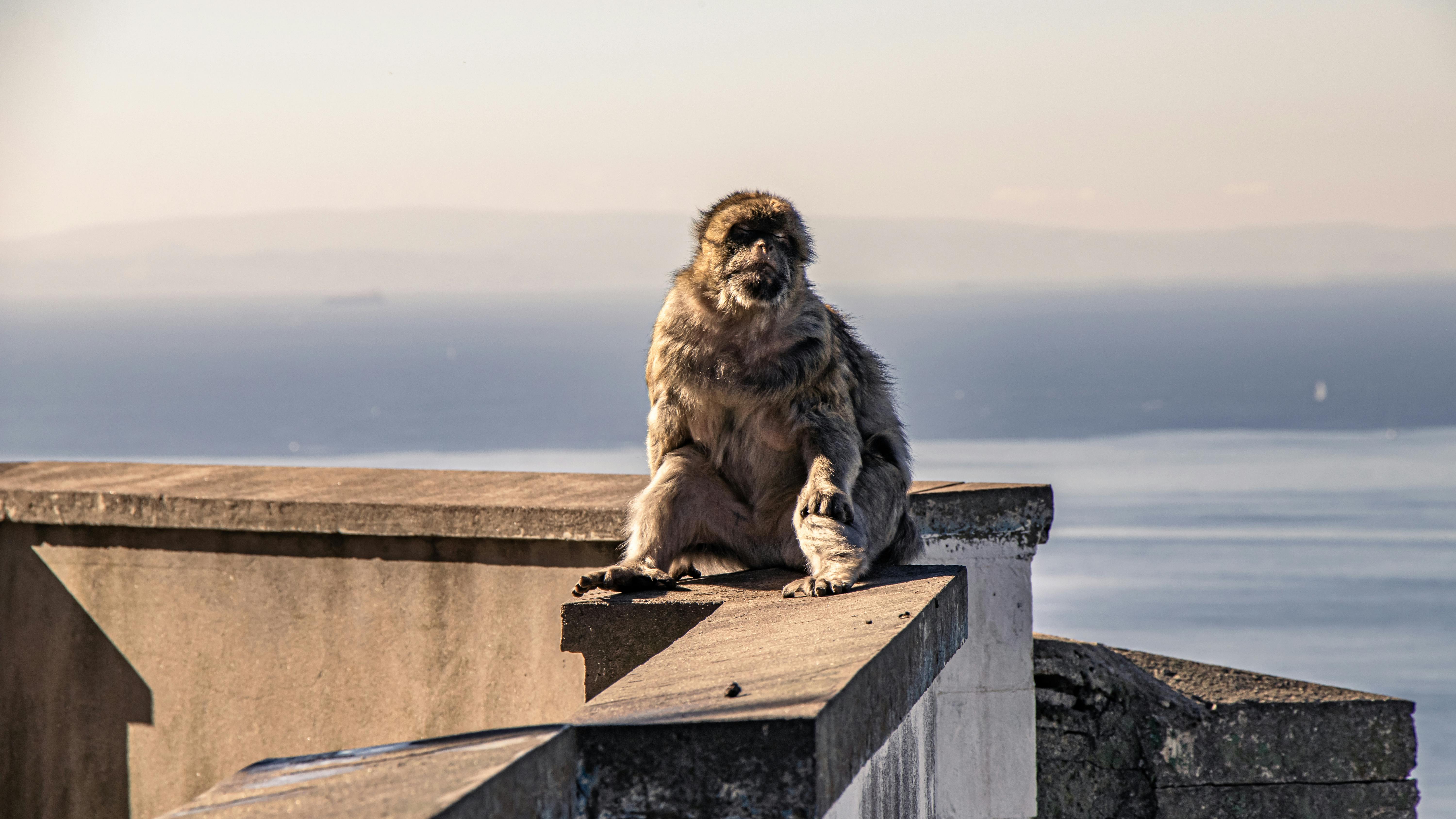 Wordpress Blogs A Guide For Begineers