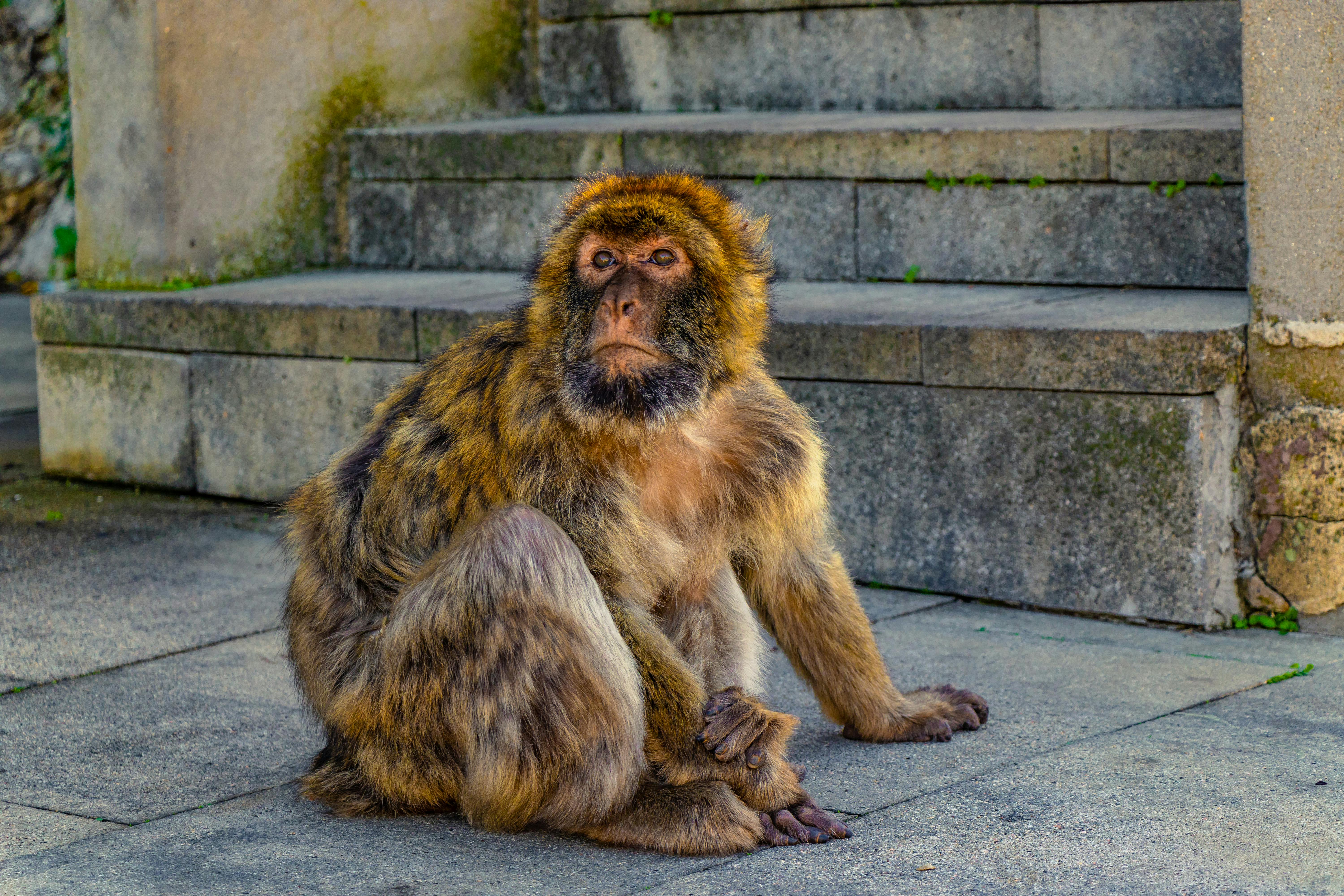 Moving On Without You