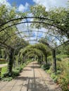 Beautiful garden walkway with green arches