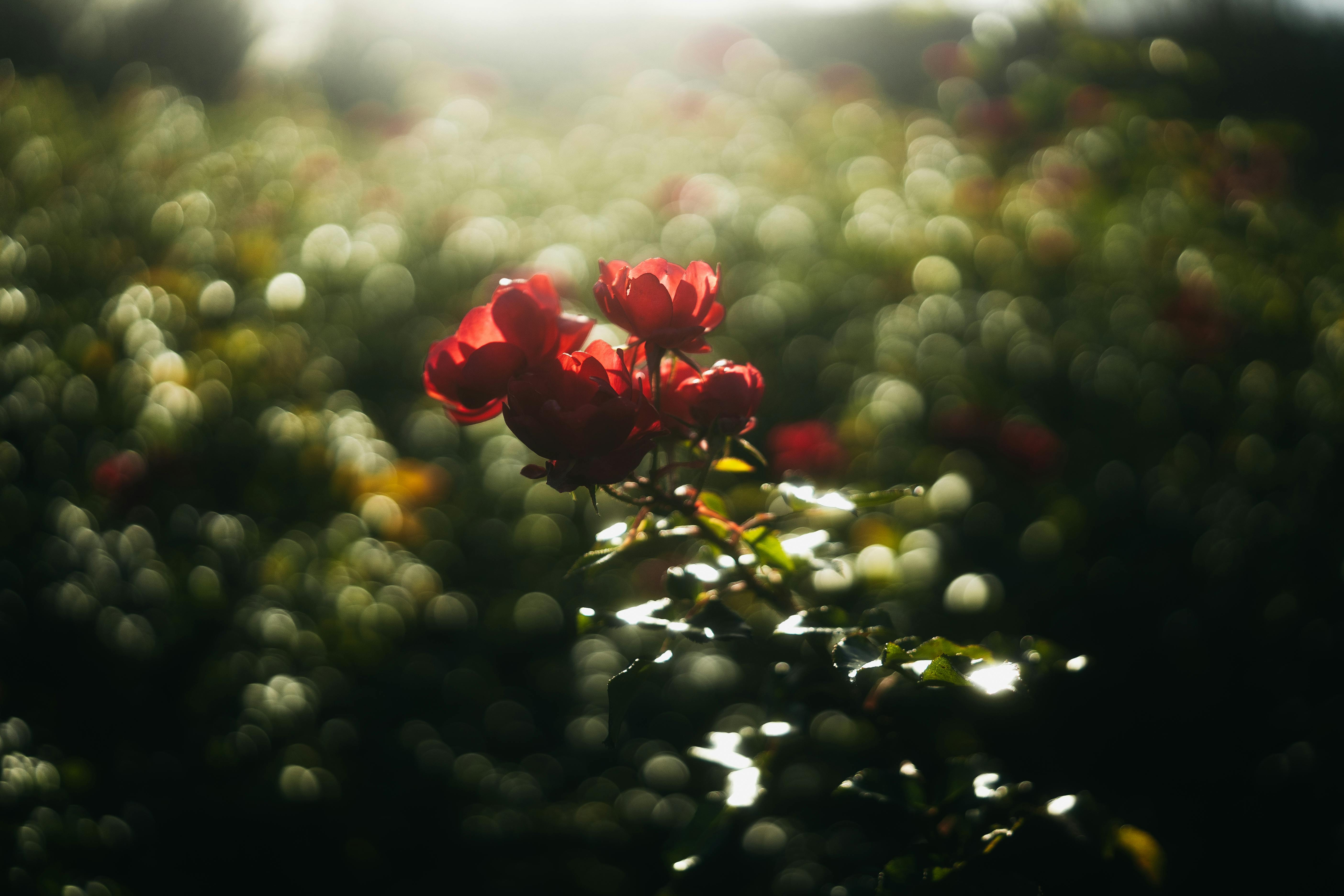 國防部呼籲美日等國勿攪擾台海穩定