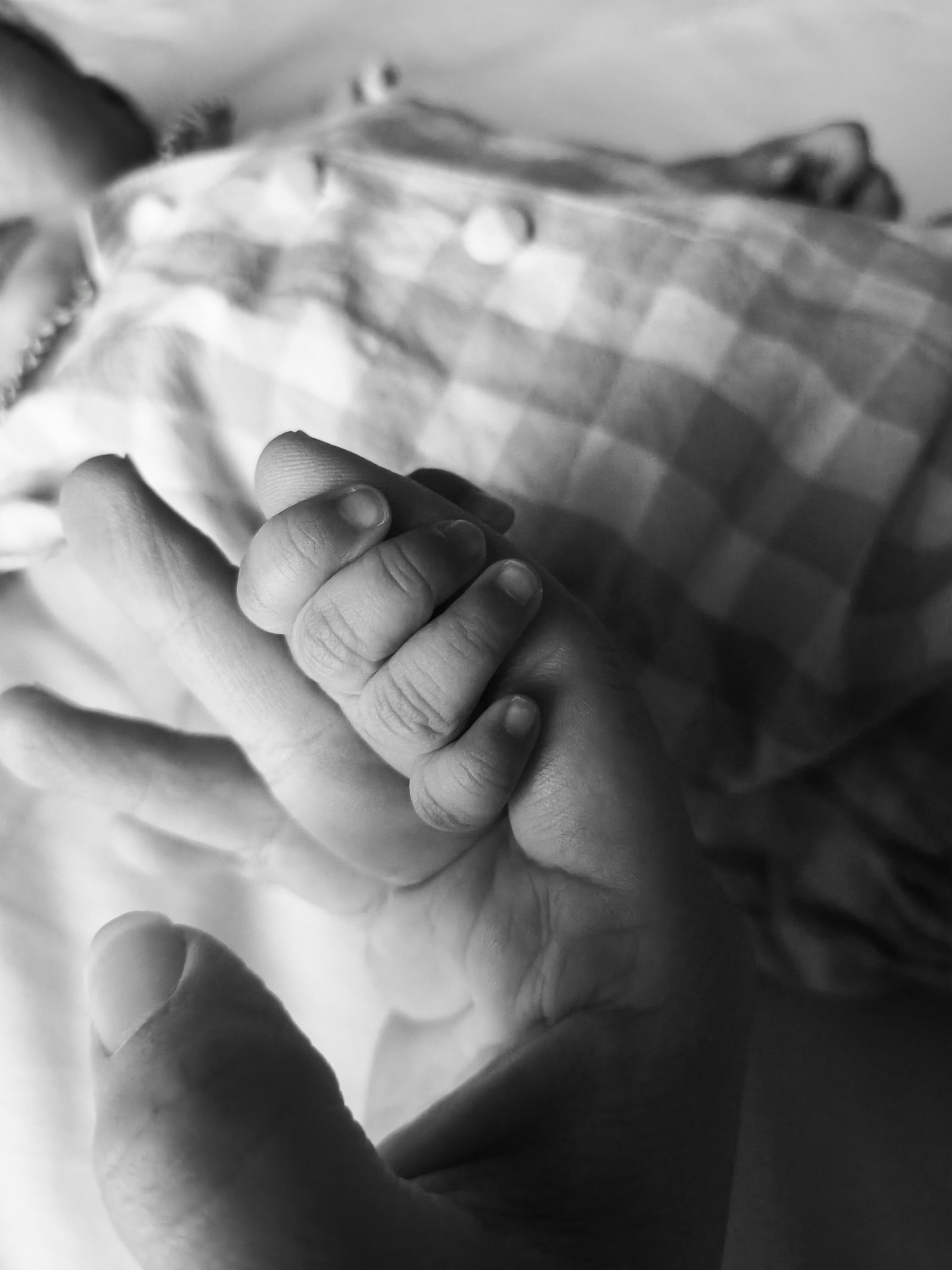 CS 506 Java The Complete Reference By Herbert Schildt