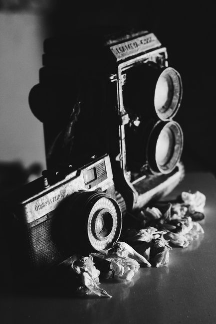 Artistic black and white photo featuring vintage cameras and dried flowers.