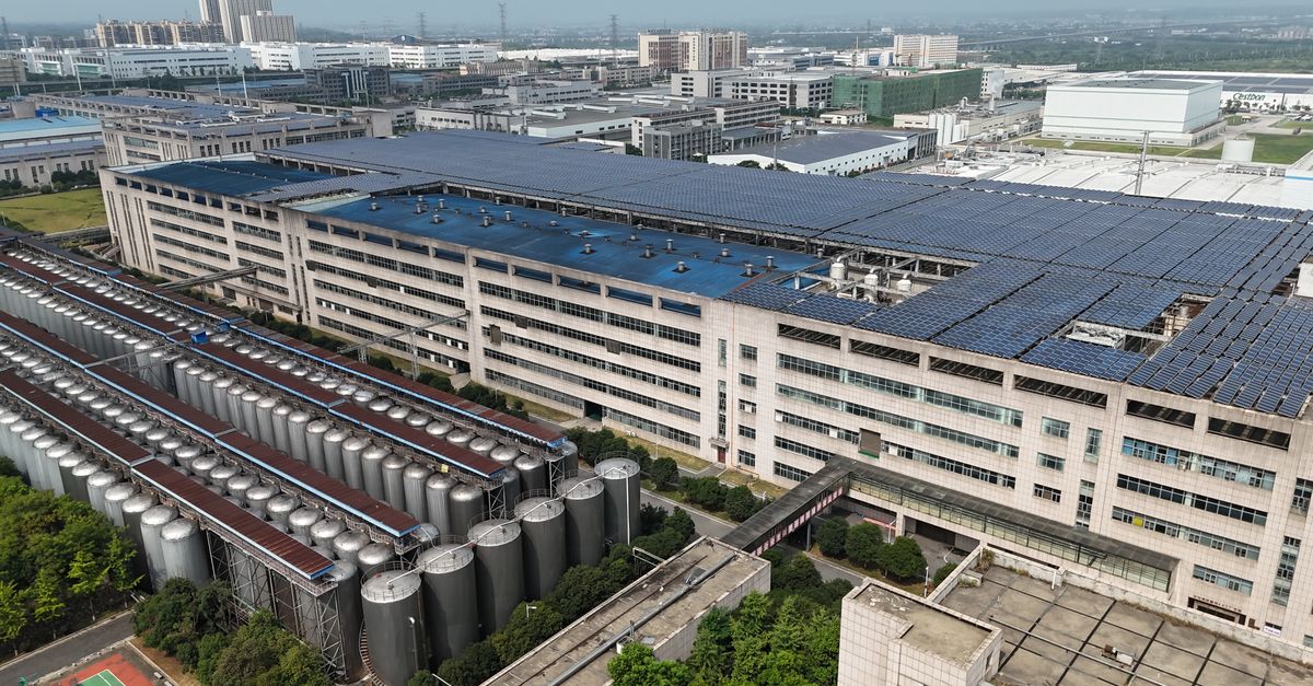 Grupo Pellas impulsa modernización industrial enfocada en sostenibilidad y crecimiento empresarial regional Grupo Pellas impulsa modernización industrial enfocada en sostenibilidad y crecimiento empresarial regional