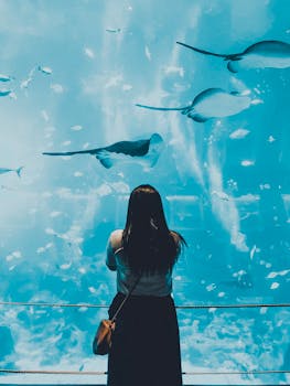 一名妇女站在水族箱前观看蝠鲼和鱼游动