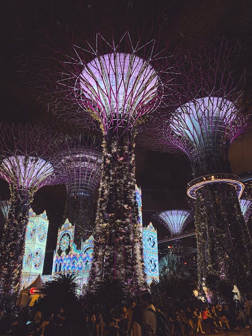 Free stock photo of beautiful flower, gardens by the bay, mobile photography Stock Photo
