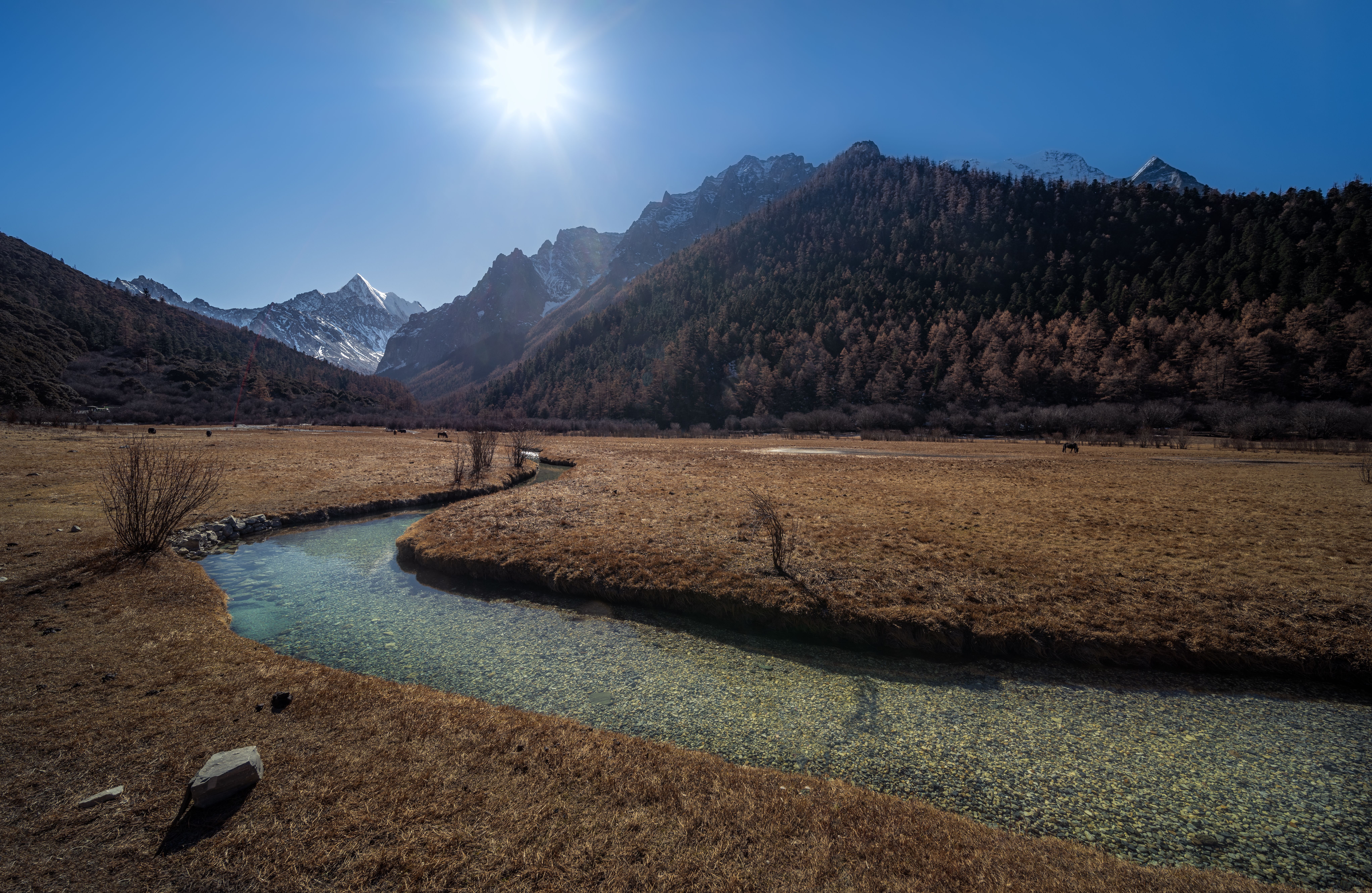 Daocheng Yading — The Yading Nature Reserve