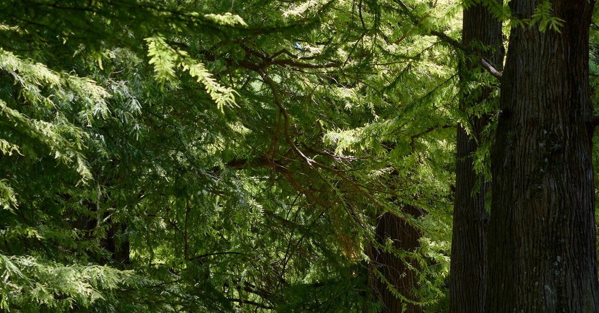 What innovations are leading in eco-friendly products? What innovations are leading in eco-friendly products?