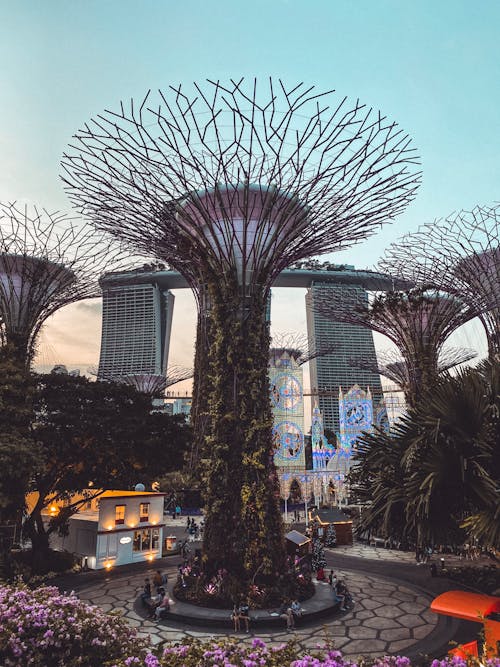 Free stock photo of gardens by the bay, mobile photography, singapore Stock Photo