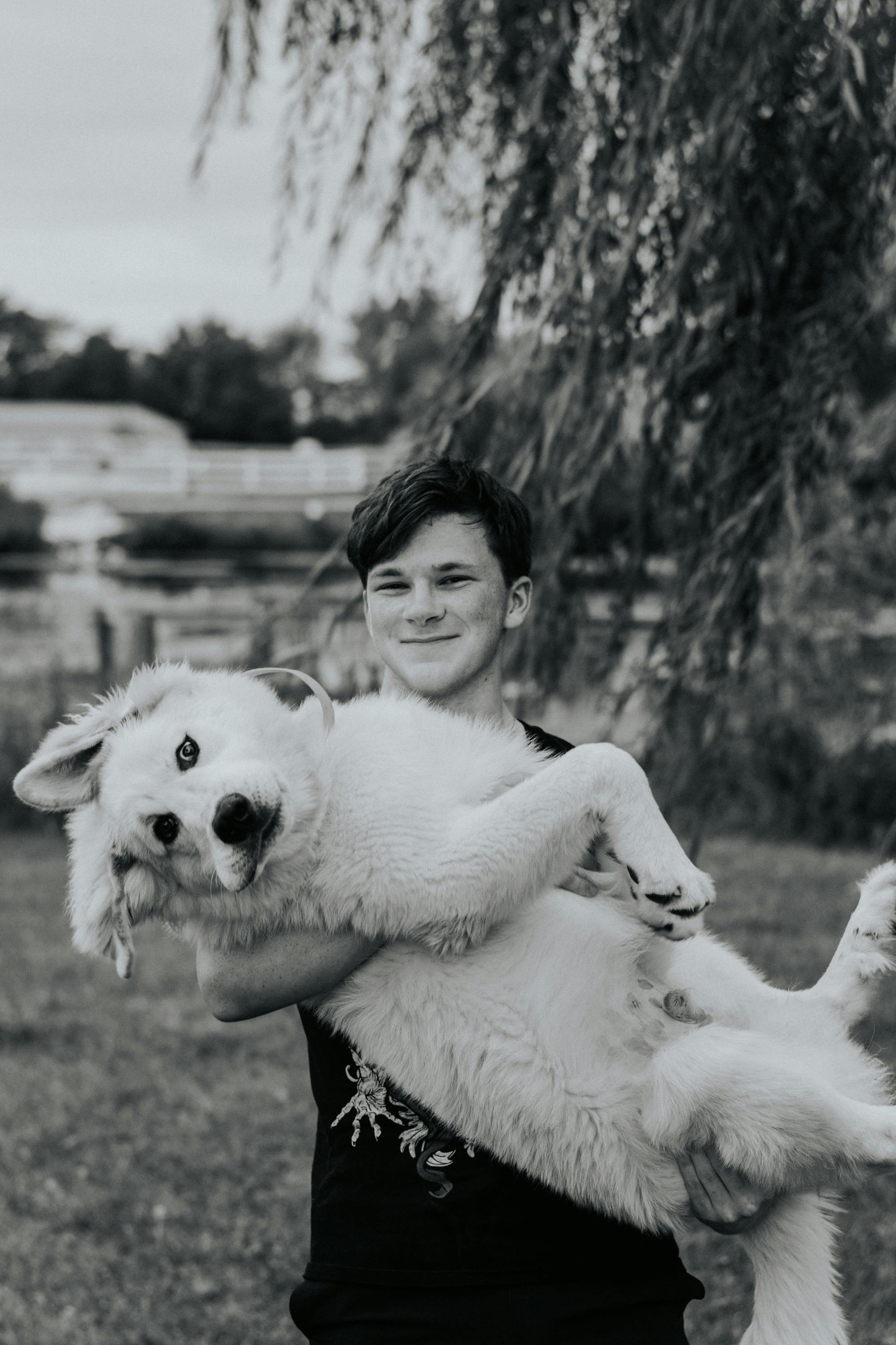 Gratuit Un adolescent porte joyeusement un gros chien duveteux dans un cadre extérieur serein. Photos