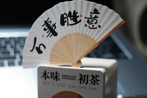 Free Close-up of a beautiful Asian paper fan featuring calligraphy, highlighting cultural elegance. Stock Photo