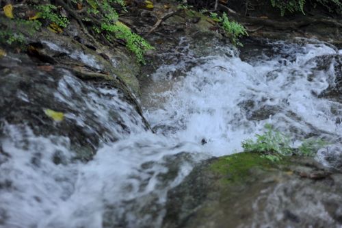 Free stock photo of flowing water, water, water stream Stock Photo