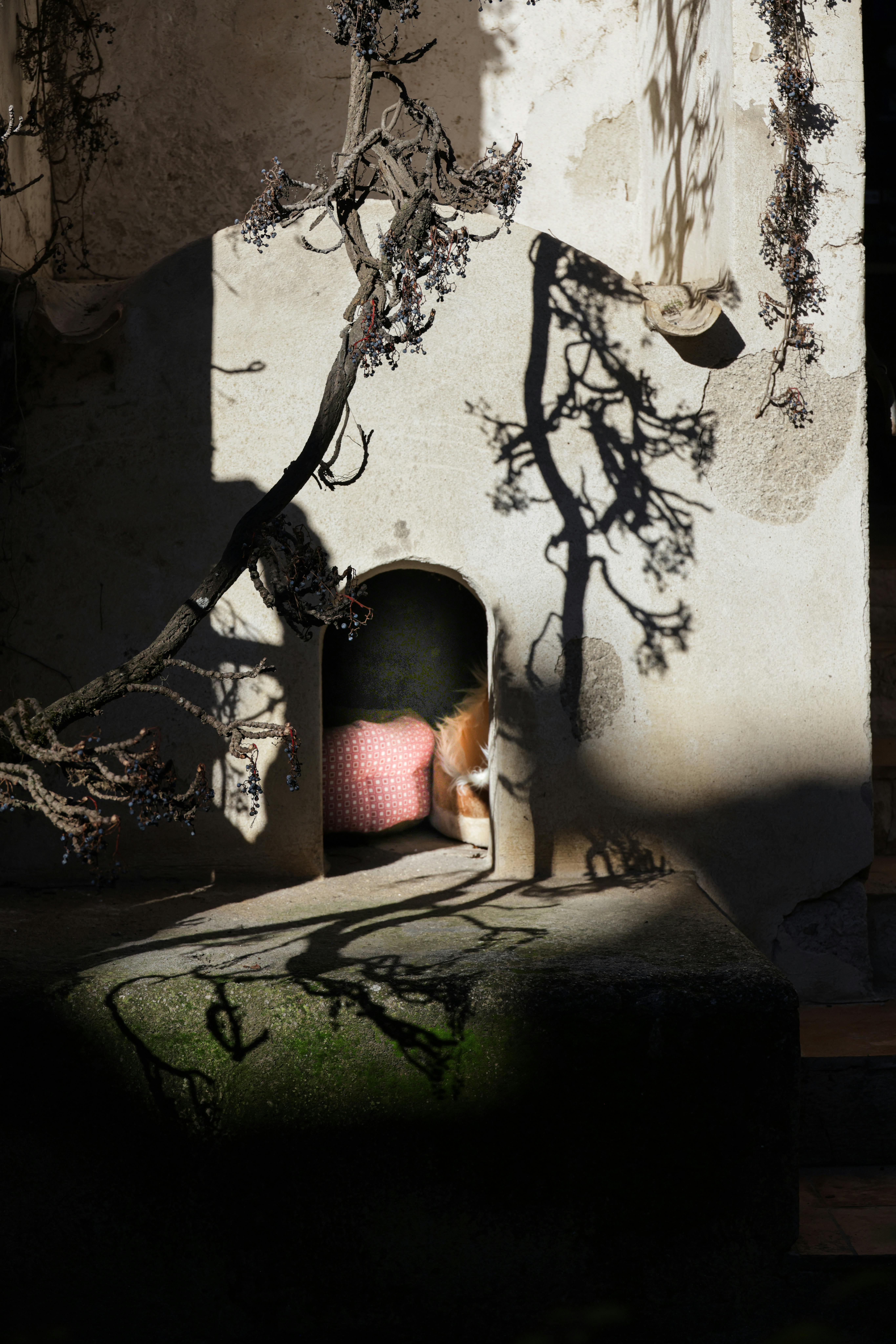 Gratuit Un colț confortabil, cu o arcadă rustică scăldată în lumina soarelui, care aruncă umbre complicate. Fotografie de stoc