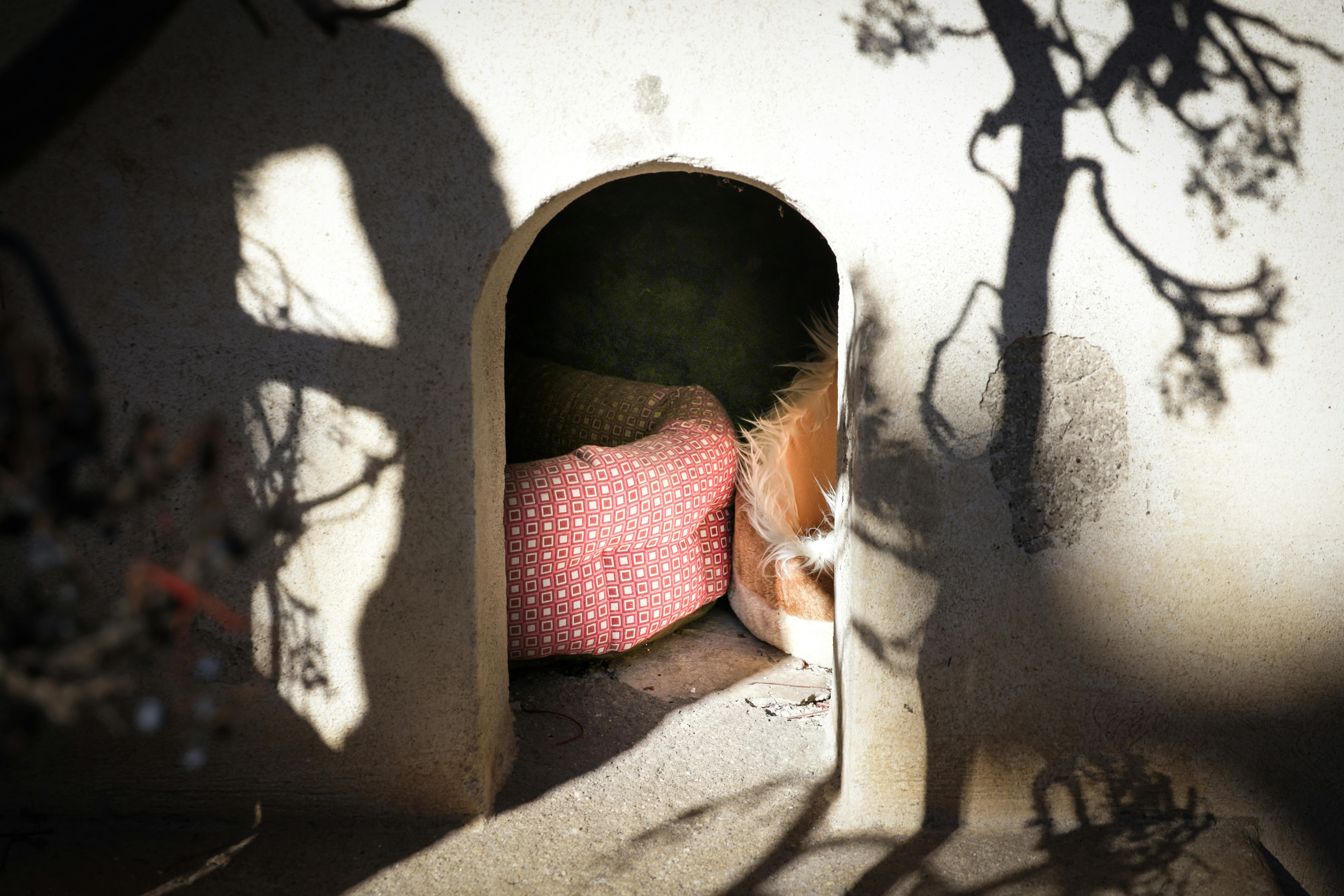 Secret Economic Indicators Wealthy Investors Watch