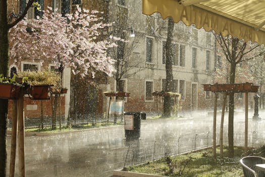 城市街道郁郁葱葱，绿草如茵，树木和建筑掩映其间