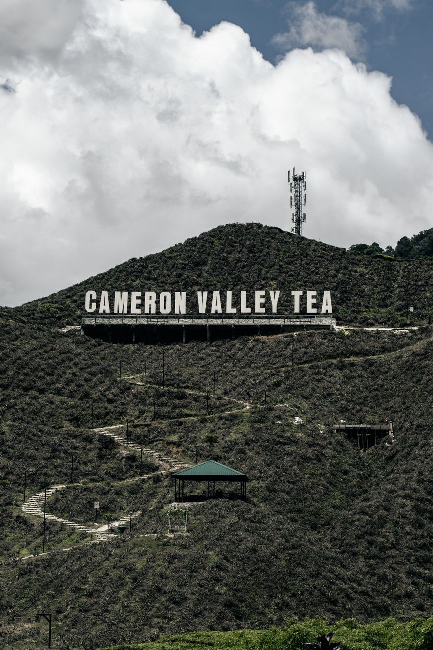 Cameron Highlands