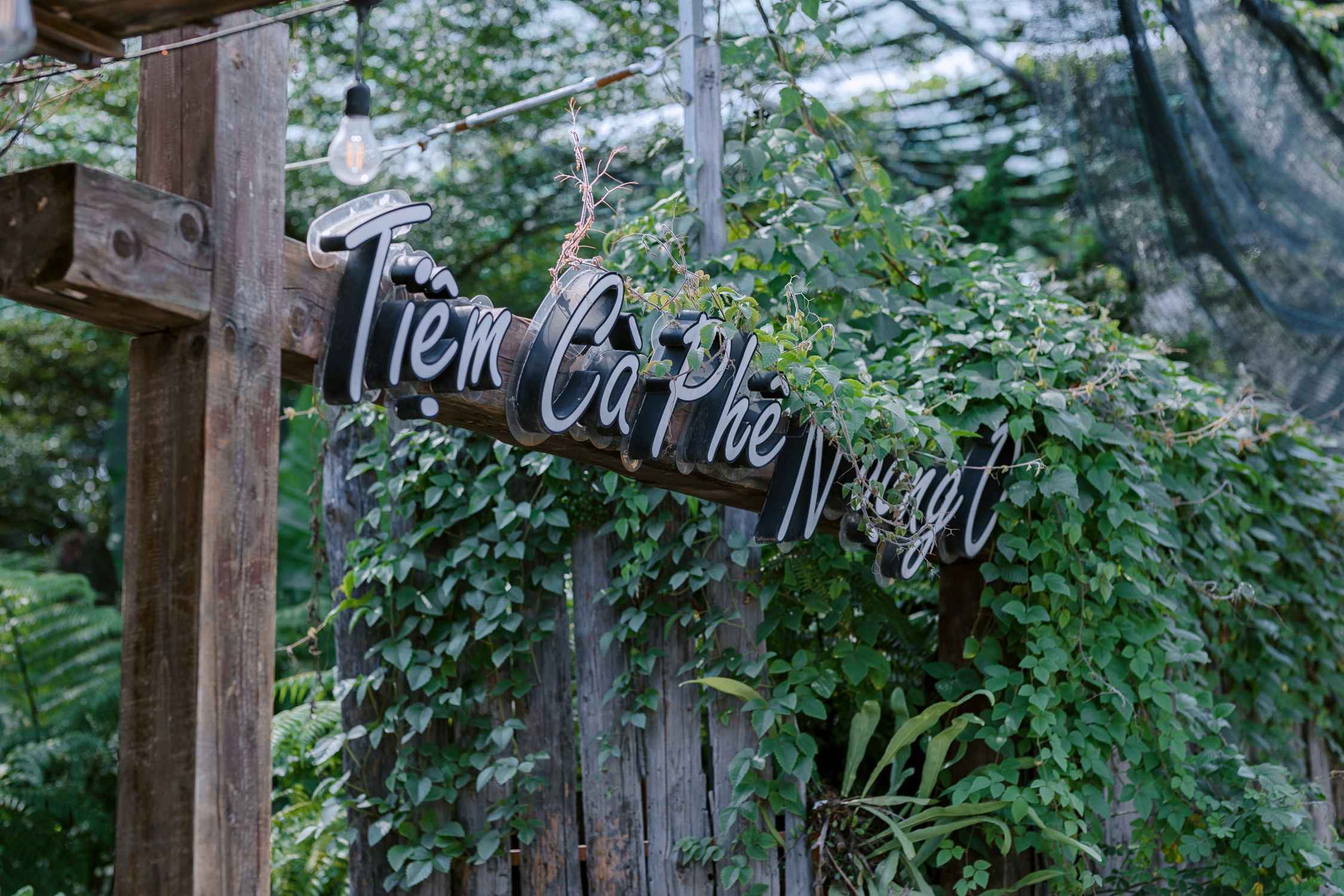 Rustic Café Sign with Lush Greenery Outdoors · Free Stock Photo
