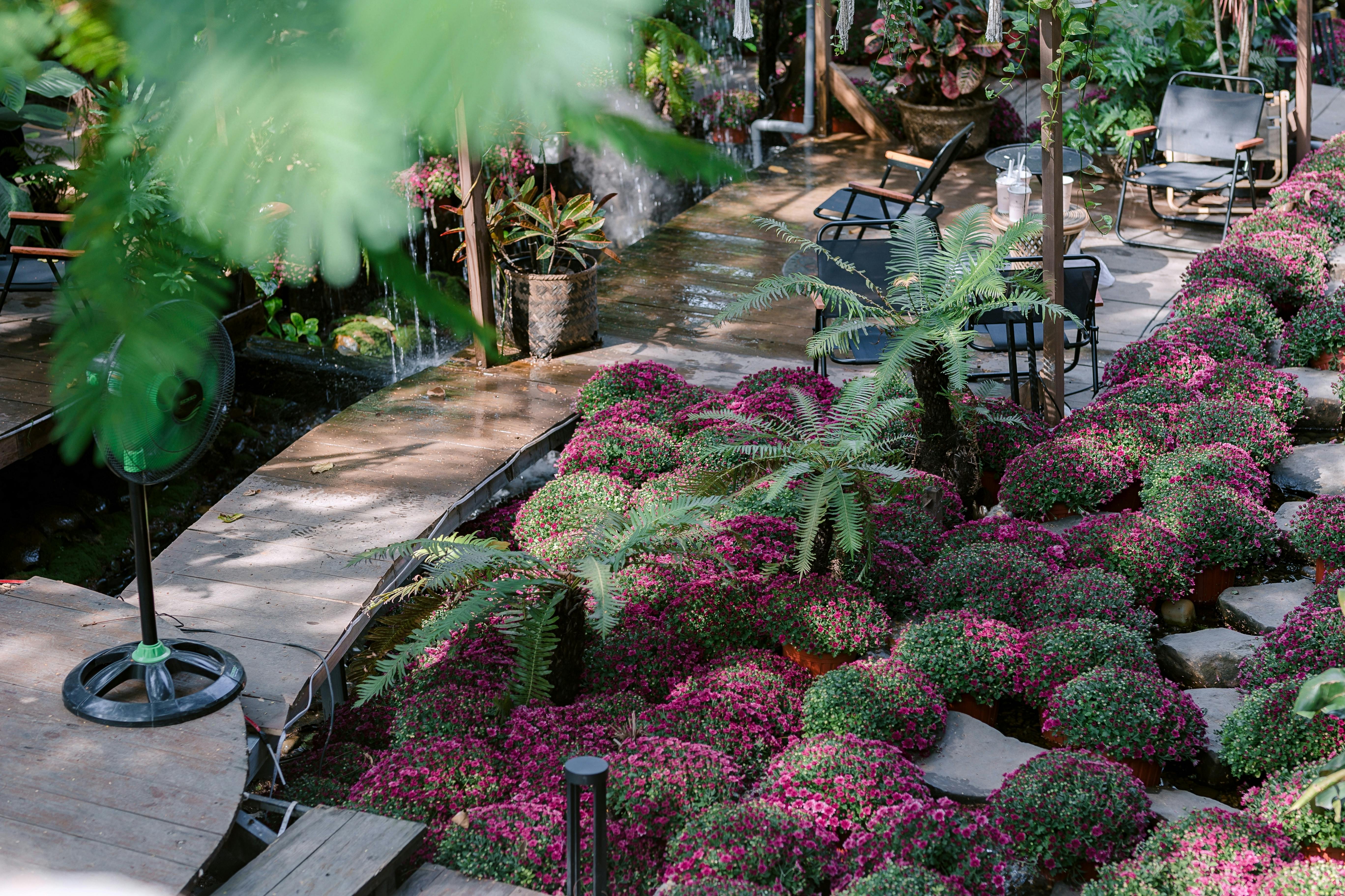 Gardening Secrets For A Lush Garden