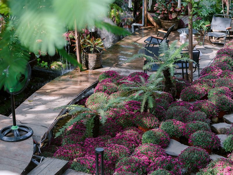 Garden path with flowers