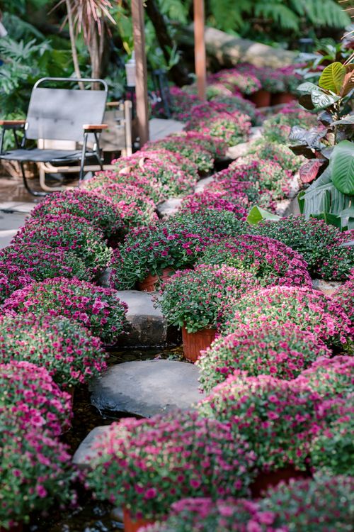 Allée pavée