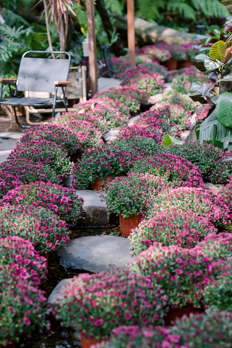 Aménagement paysager de jardin