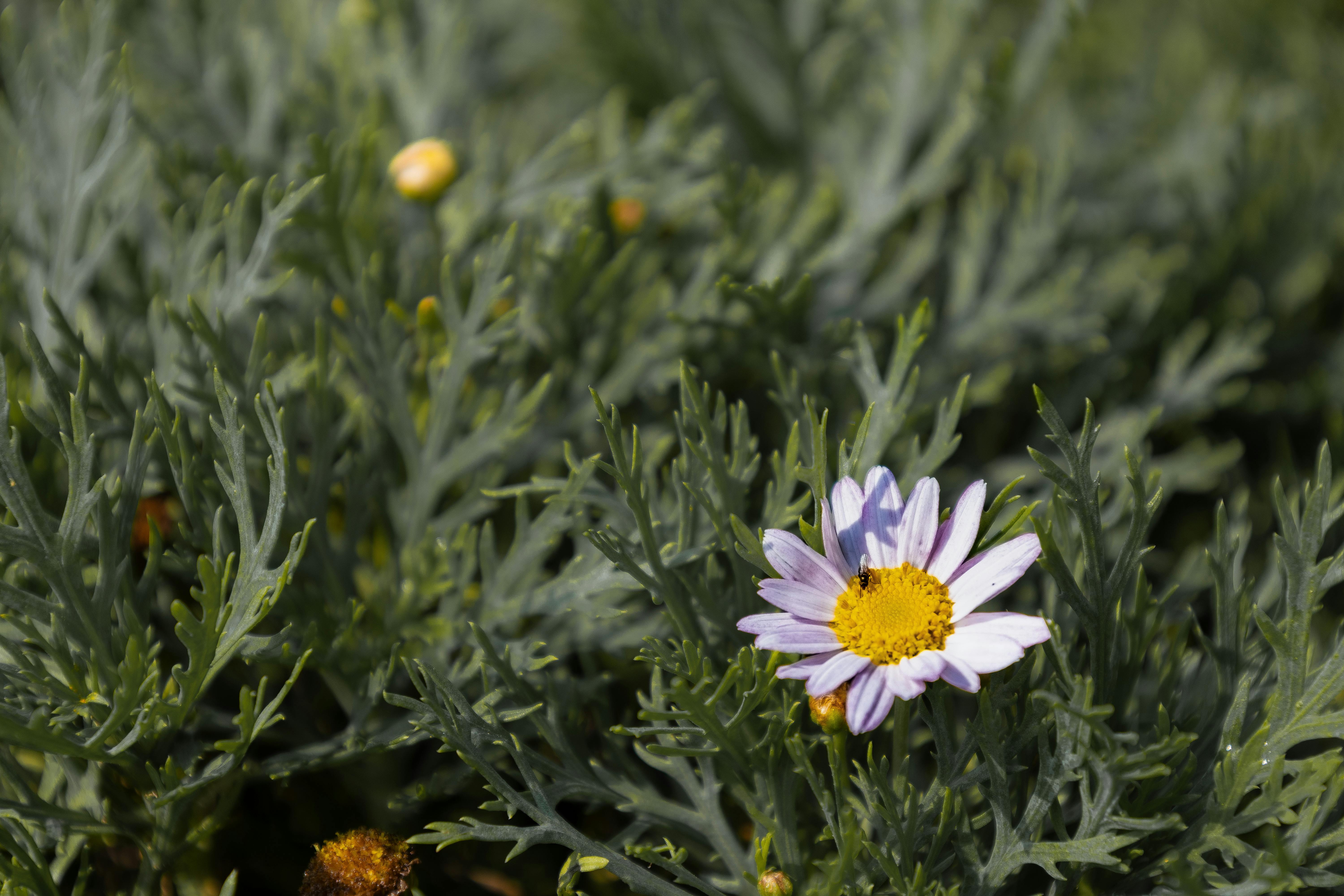 Innovative Garden Designs: Transforming Outdoor Spaces