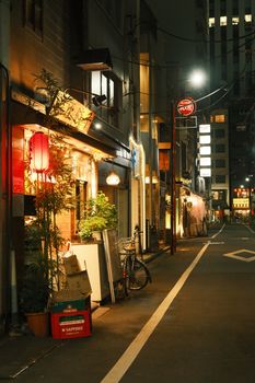 Futuristisches Lebendig & Tokyo – Eindrucksvolles Cyberpunk-Motiv