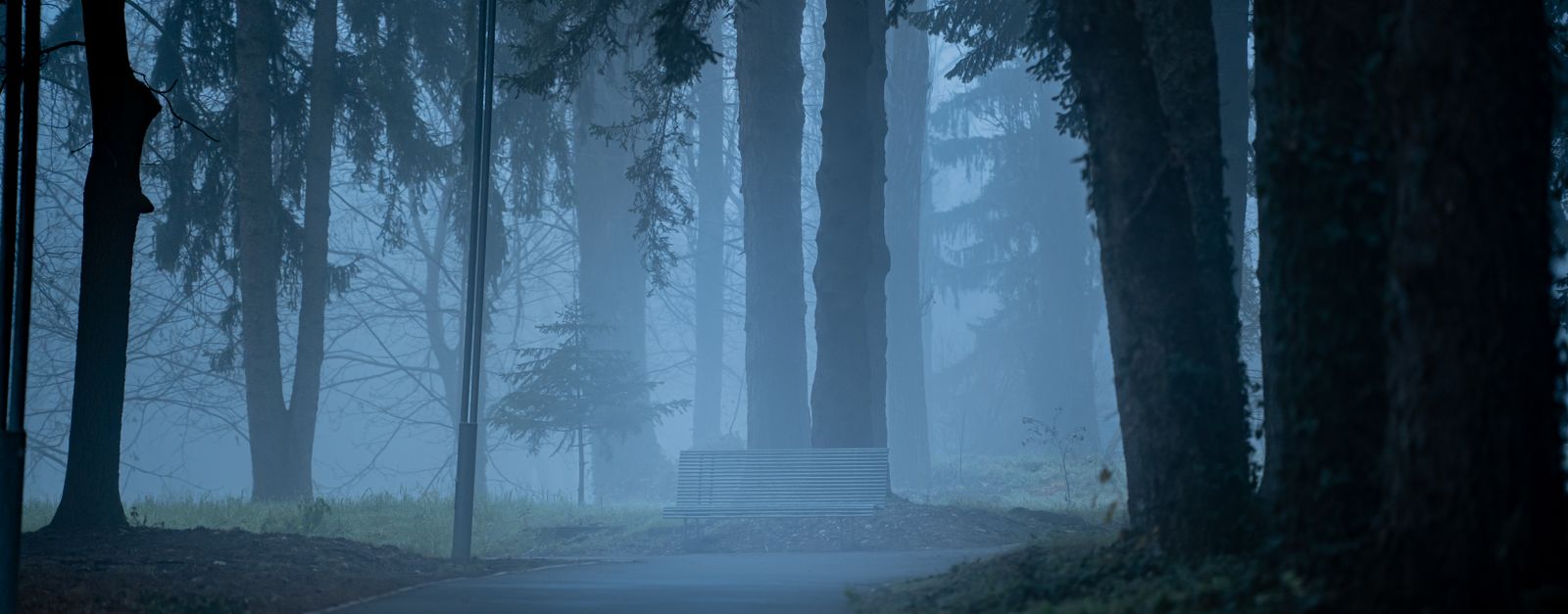 Captivating misty forest scene in Kosovo's Rugova Valley during winter, offering a serene and cinematic atmosphere.