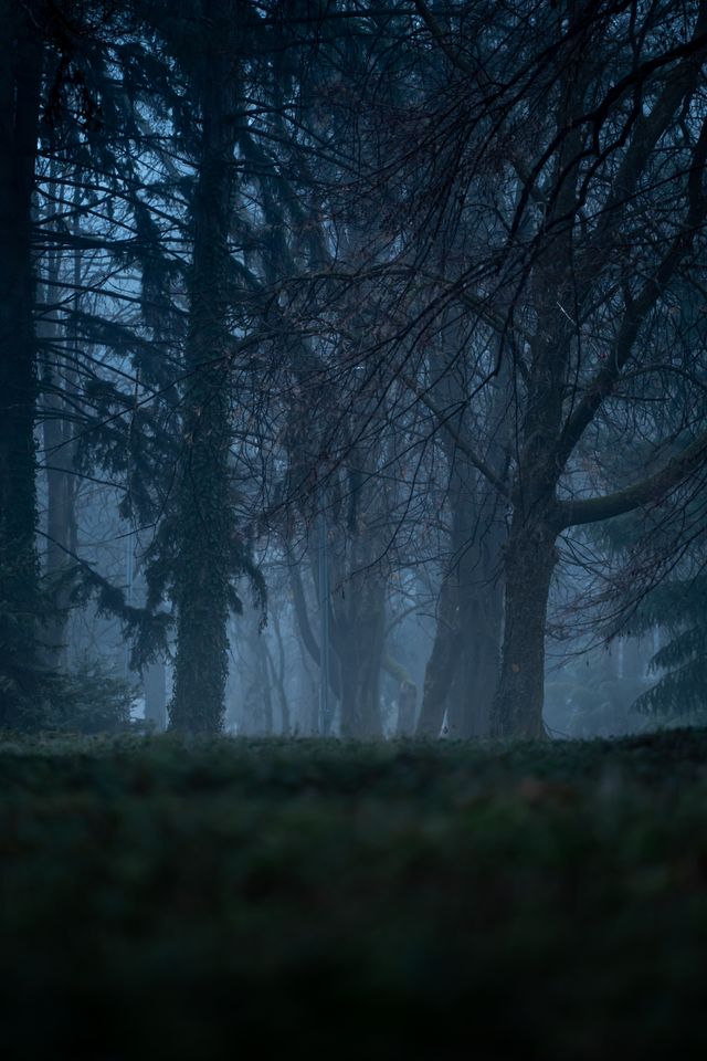 Cinematic still