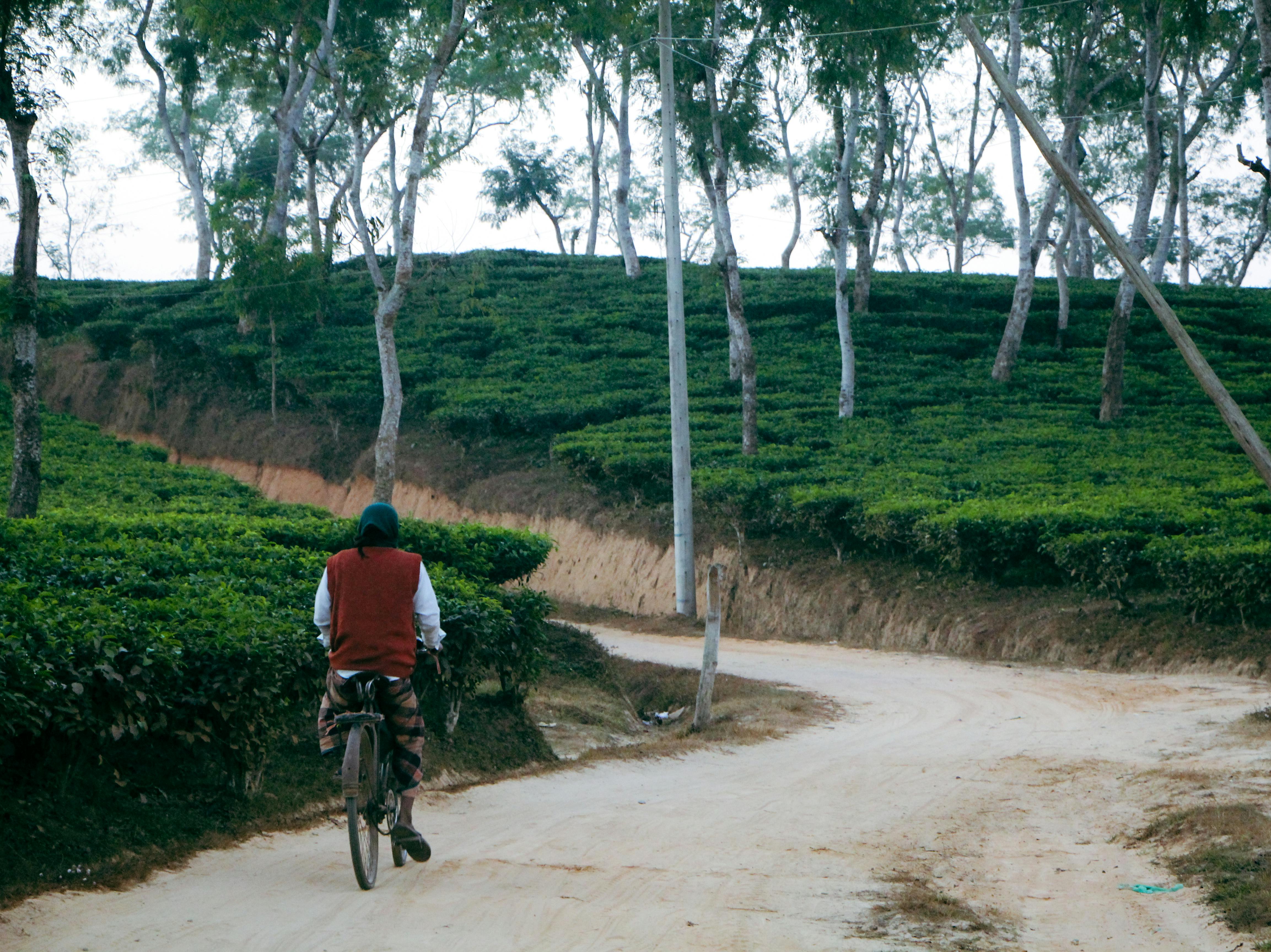 MERACH Under Desk Bike Pedal Exerciser, Mini Exercise Bike with 8-Level Magnetic Resistance, LCD Display  Anti-Slip Base, Eco-Friendly Portable Desk Bike for Office, Home, or Rehab