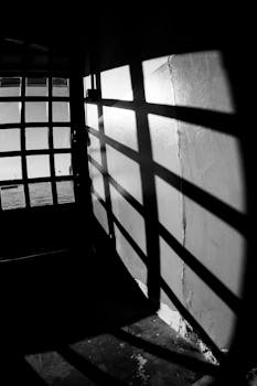 Dramatic shadows cast by a door in a black and white setting, creating a moody atmosphere indoors.