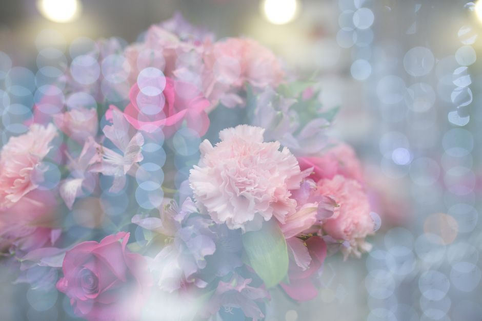 美しい、美しい花、開花