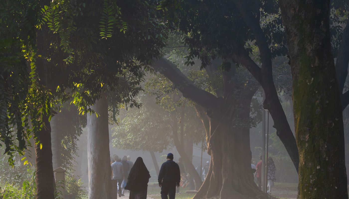 interval walking workout — Peaceful Morning Walk in Lush Park · Free. Photo: Pexels