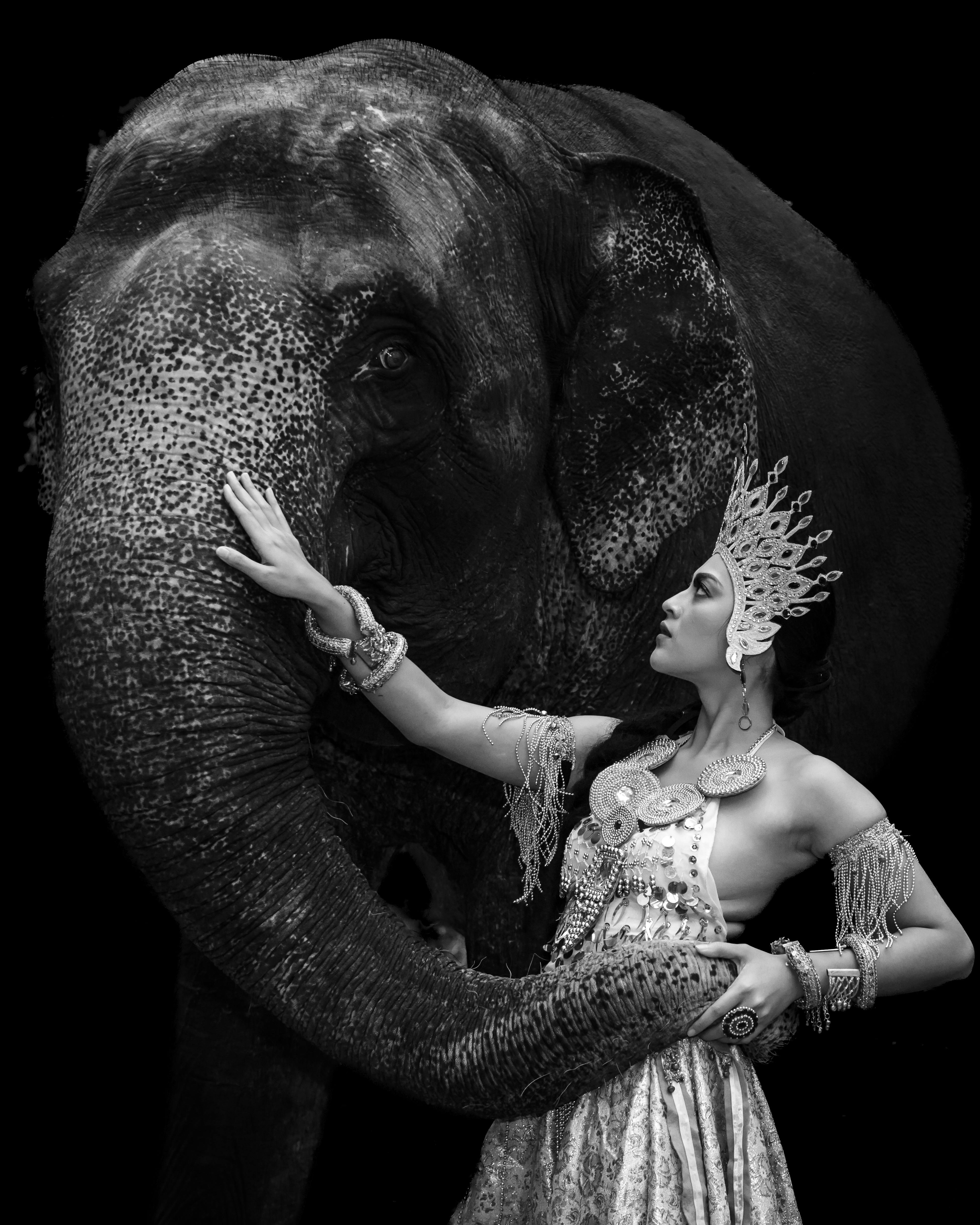 Gratis Una elegante mujer con atuendo tradicional posa con un majestuoso elefante en monocromo. Foto de stock