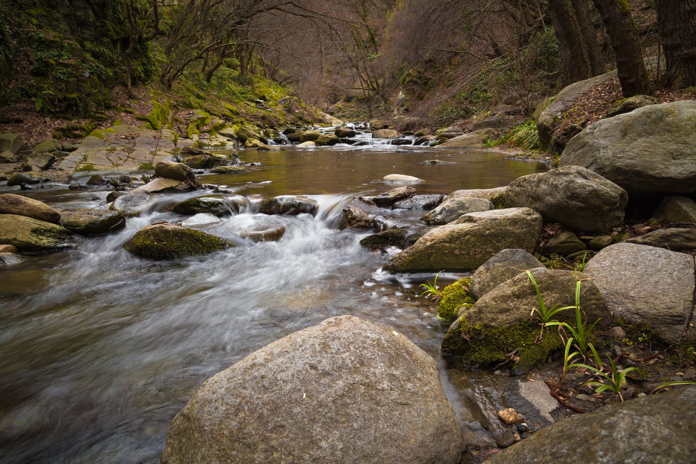 Raging River Surrounded by Stones · Free Stock Photo